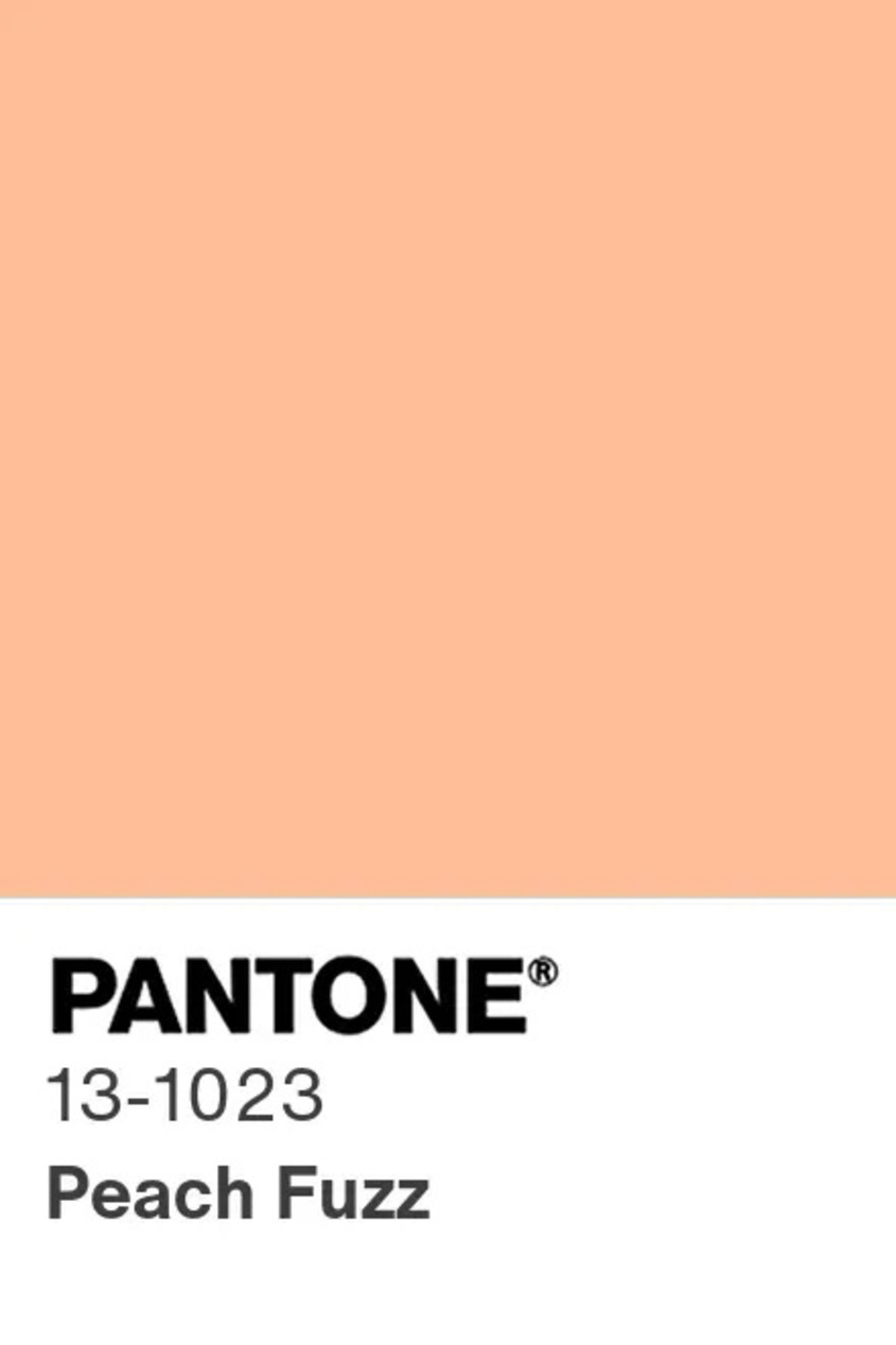  Какво символизира Peach Fuzz - цветът на Pantone за 2024 година 