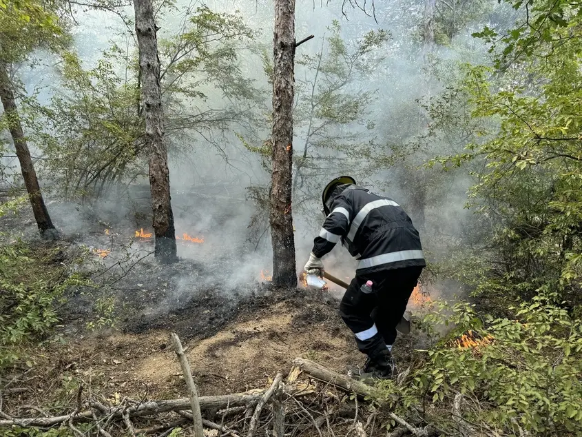  Фондацията на Кока-Кола ХБК подарява за битка с пожарите у нас 