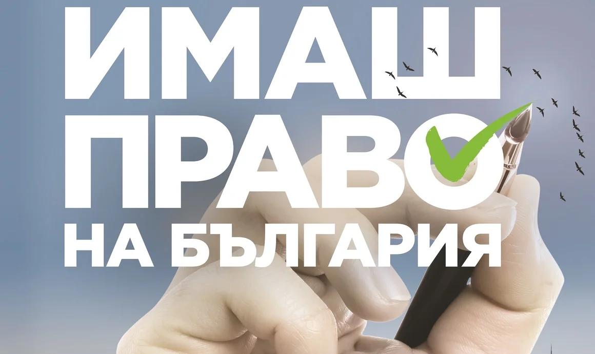 "Имаш право на България": Как българи в чужбина направиха невиждана кампания за изборите