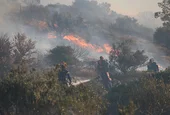 Огромни пожари обхванаха няколко гръцки острова