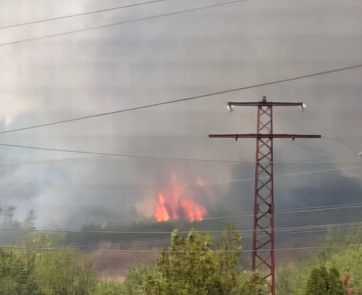 30 деца са евакуирани заради пожар във вилната зона на Мездра