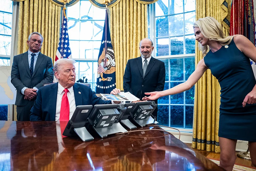 harp and trump