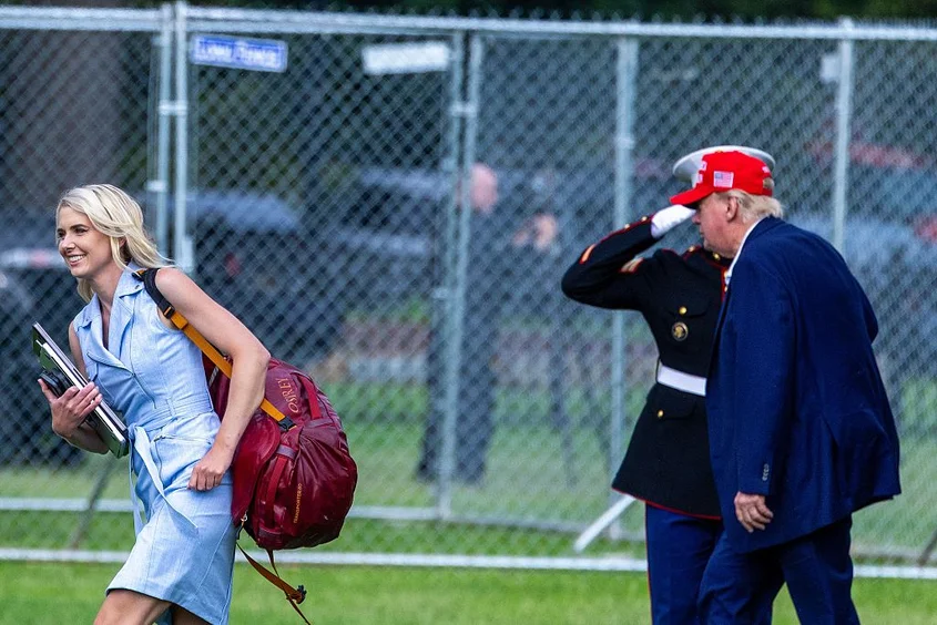 harp trump