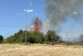Голям пожар избухна край благоевградското село Дъбрава, шест къщи са засегнати