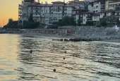 Забраниха къпането на плаж „Изток“ в Свети Влас заради замърсена вода