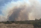Голям пожар застрашава гора в Хасковско