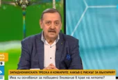 Проф. Кантарджиев: Комарите в България могат да пренасят Западнонилска треска