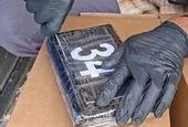 МВР се похвали с рекордно количество задържани наркотици при акция в Бургас