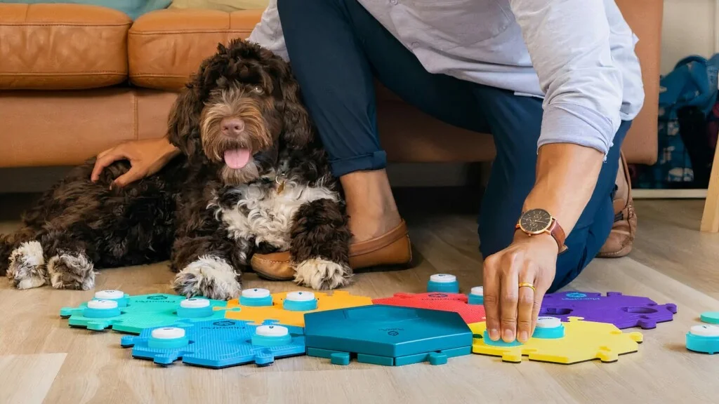 FluentPet Connect