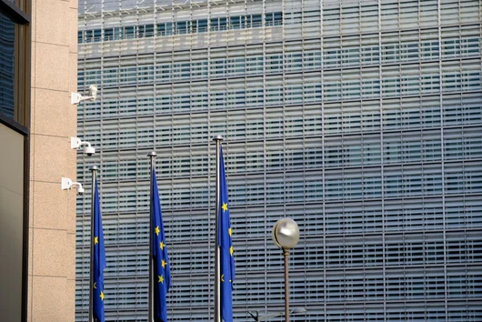 От Нидерландия започват четиридневни избори за Европейския парламент