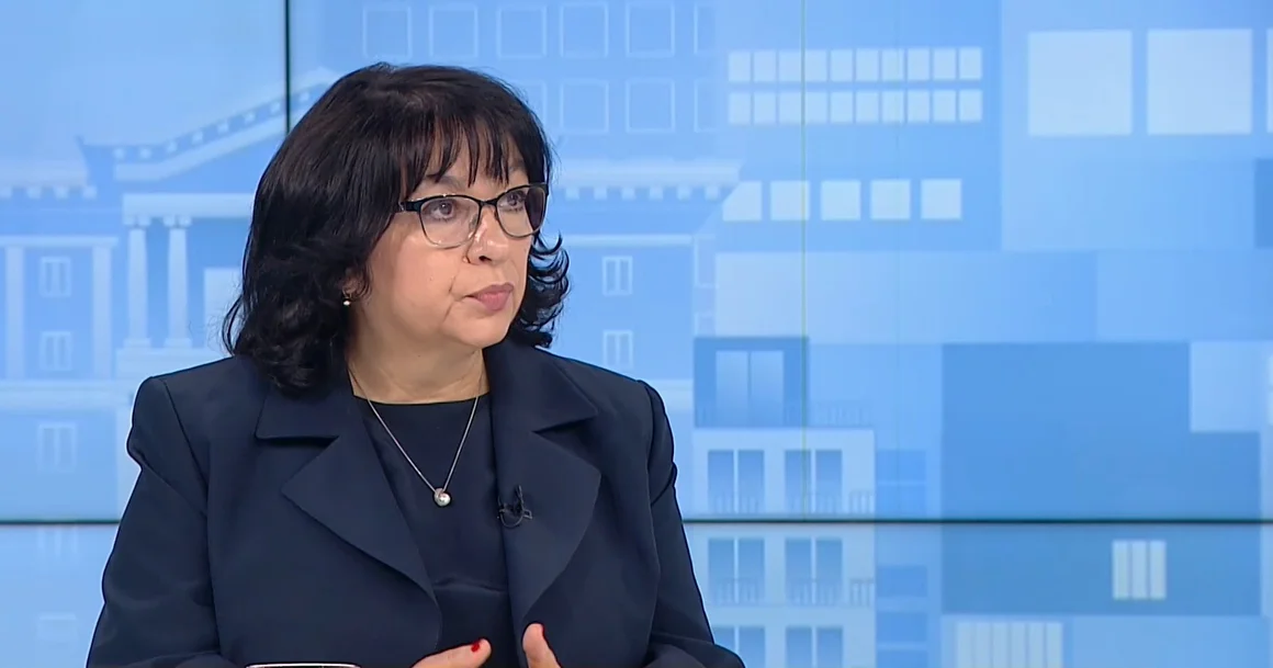 Теменужка Петкова предрече дупка в бюджета, ако някой “саботира, протестира и пише до Брюксел"