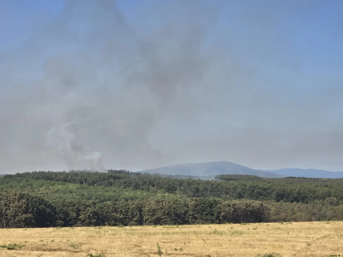 Евакуират хора от село Скала заради пожара в  Сунгурларе