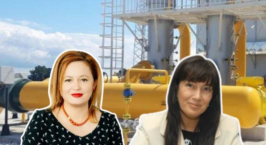 Бивш посланик поема управлението на газовата връзка с Гърция