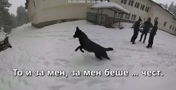 МВР ще извади експертизите по случая "Петрохан" 