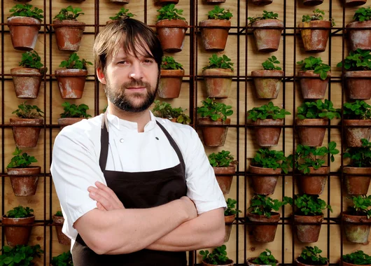 Тормозът в кухнята на Noma и тъмната страна на fine dining културата