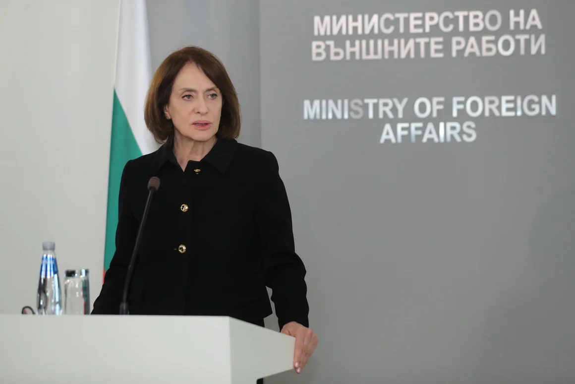 Надежда Нейнски: Ратификацията на „Съвета за мир“ на Тръмп означава и финансов ангажимент за държавата