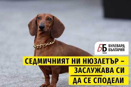 Voiceletter: Загубата, която се преобръща в победа, Епизод 11