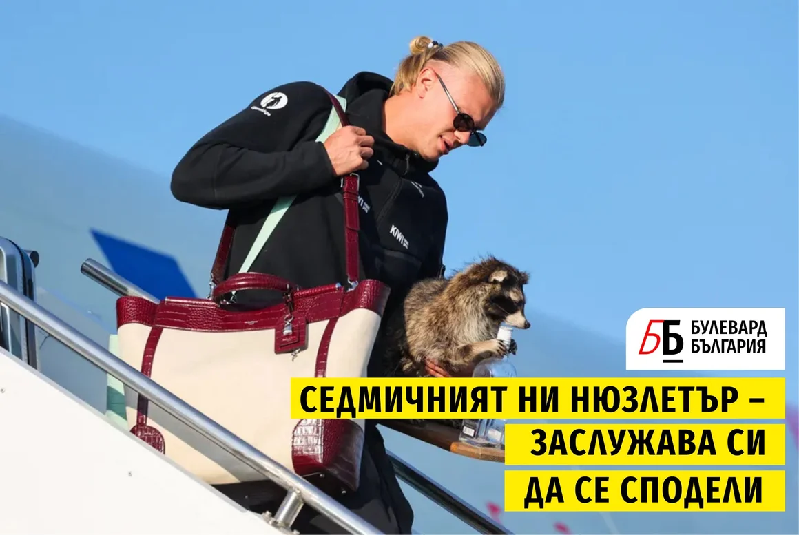 Voiceletter: Като не знаеш къде отиваш, винаги стигаш другаде, епизод 24 - Подкасти
