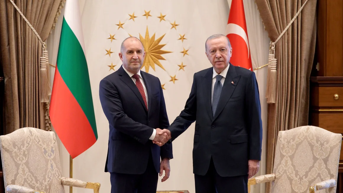 Ердоган се съгласил България да не плаща на"Боташ "заради изграденото приятелство", твърди Радев 