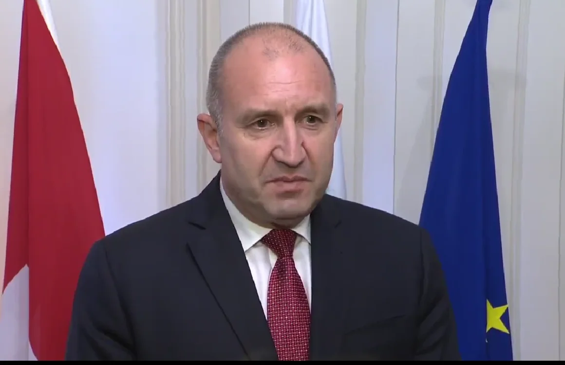 Радев: Хора, които през живота си са стискали само детско пистолетче, a не нещо друго, вземат решения