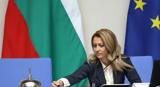 Рая Назарян си изпусна нервите и наруга нецензурно депутатите 