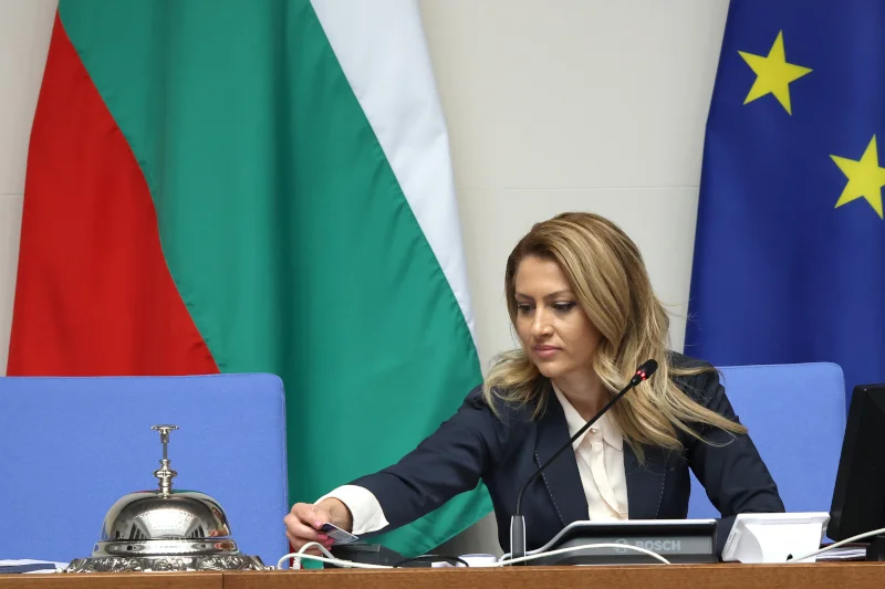 Рая Назарян си изпусна нервите и наруга нецензурно депутатите 