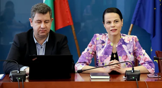 "Кой е виновен, когато хапят комарите", или защо властта не може да реши кой да направи дезинсекция 
