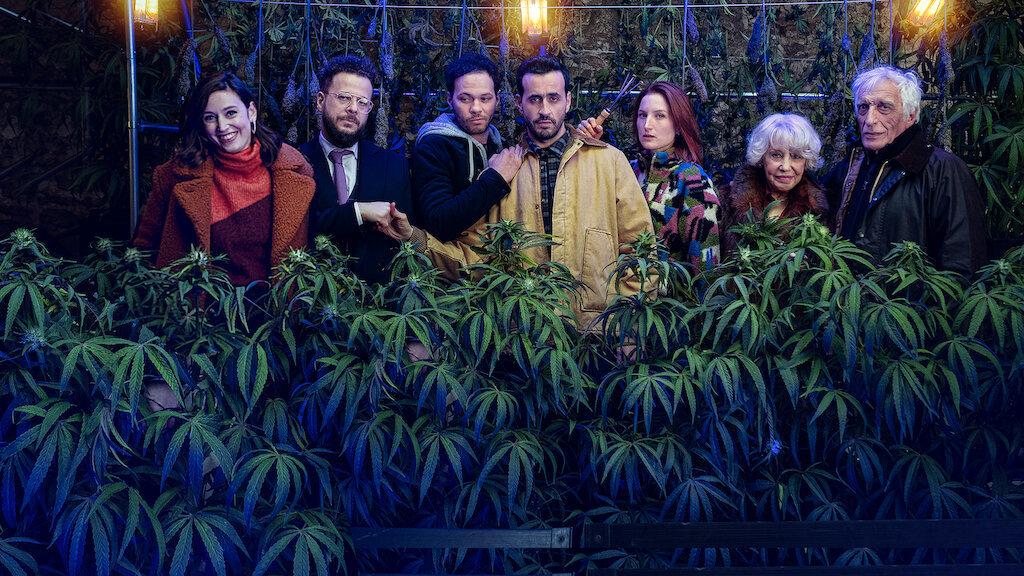<p><strong>Family Business (2019) - 2 сезона, Netflix</strong></p>
<p>Жозеф няма особен успех в бизнеса, но когато научава, че Франция обмисля да легализира канабиса, решава да превърне парижката месарница на баща си в първия "кофишоп" в страната. Докато чака официалното решение, което ще узакони тревата, обаче Жозеф е принуден да крие "семейния бизнес". </p>