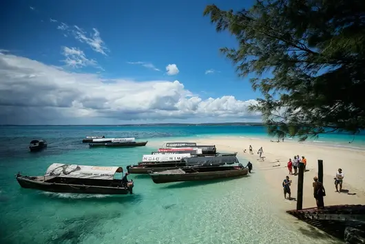 Държавата проспа авантюрата Занзибар