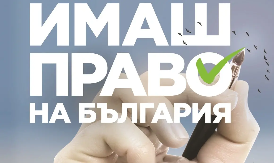"Имаш право на България": Как българи в чужбина направиха невиждана кампания за изборите