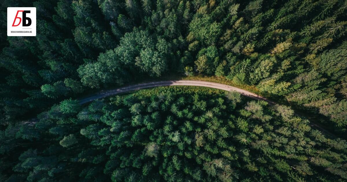 В едно от последните си решения за 2022 г. служебното