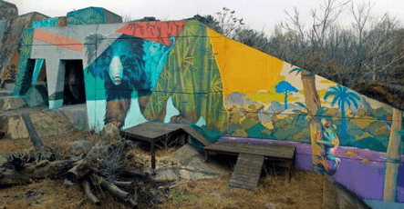 Художникът Насимо превърна зоопарка в София в платно на изкуството