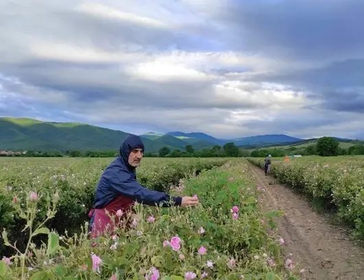 ЖИВОТЪТ И ДРУГИ НЕЩА: Какво е искал да каже авторът