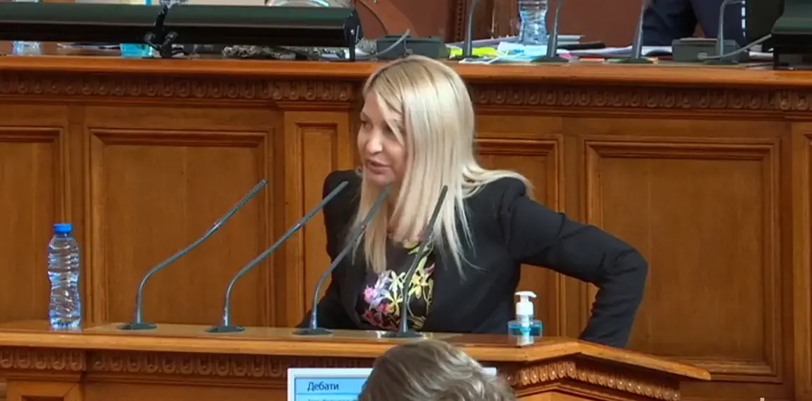 ГЕРБ и БСП уличиха депутат от ИТН в конфликт на интереси заради съдружие във фотоволтаична централа
