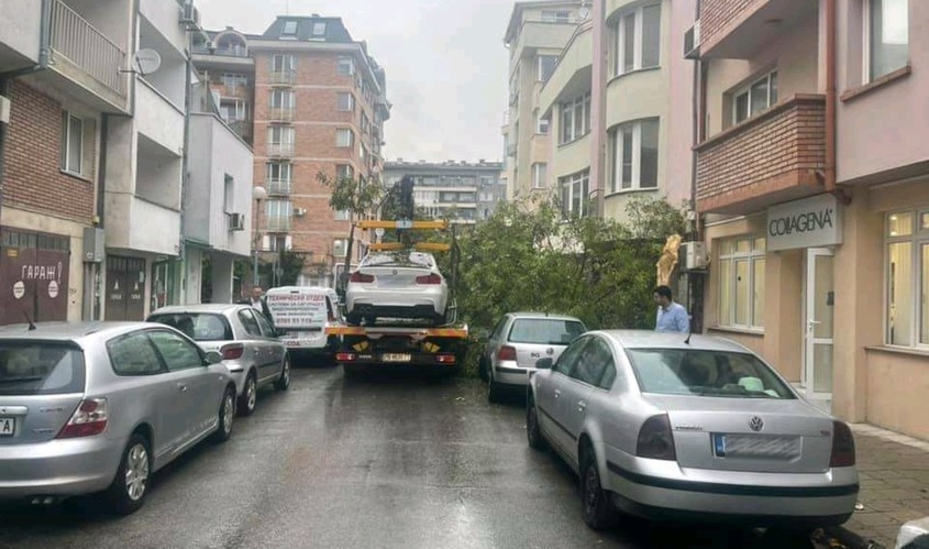 Втори инцидент за седмица: Общински "паяк" в Пловдив събори дърво на улицата
