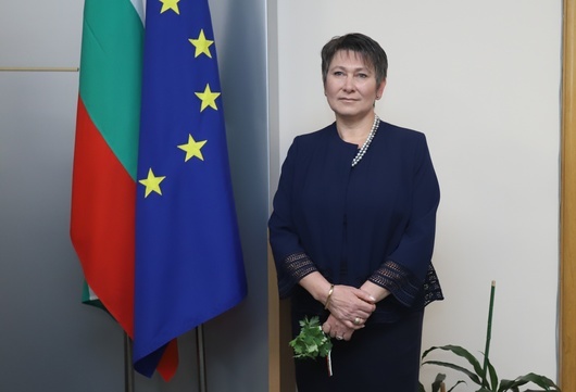 Даниела Везиева - бивш министър на икономиката, е плагиатствала, за да стане "доктор"