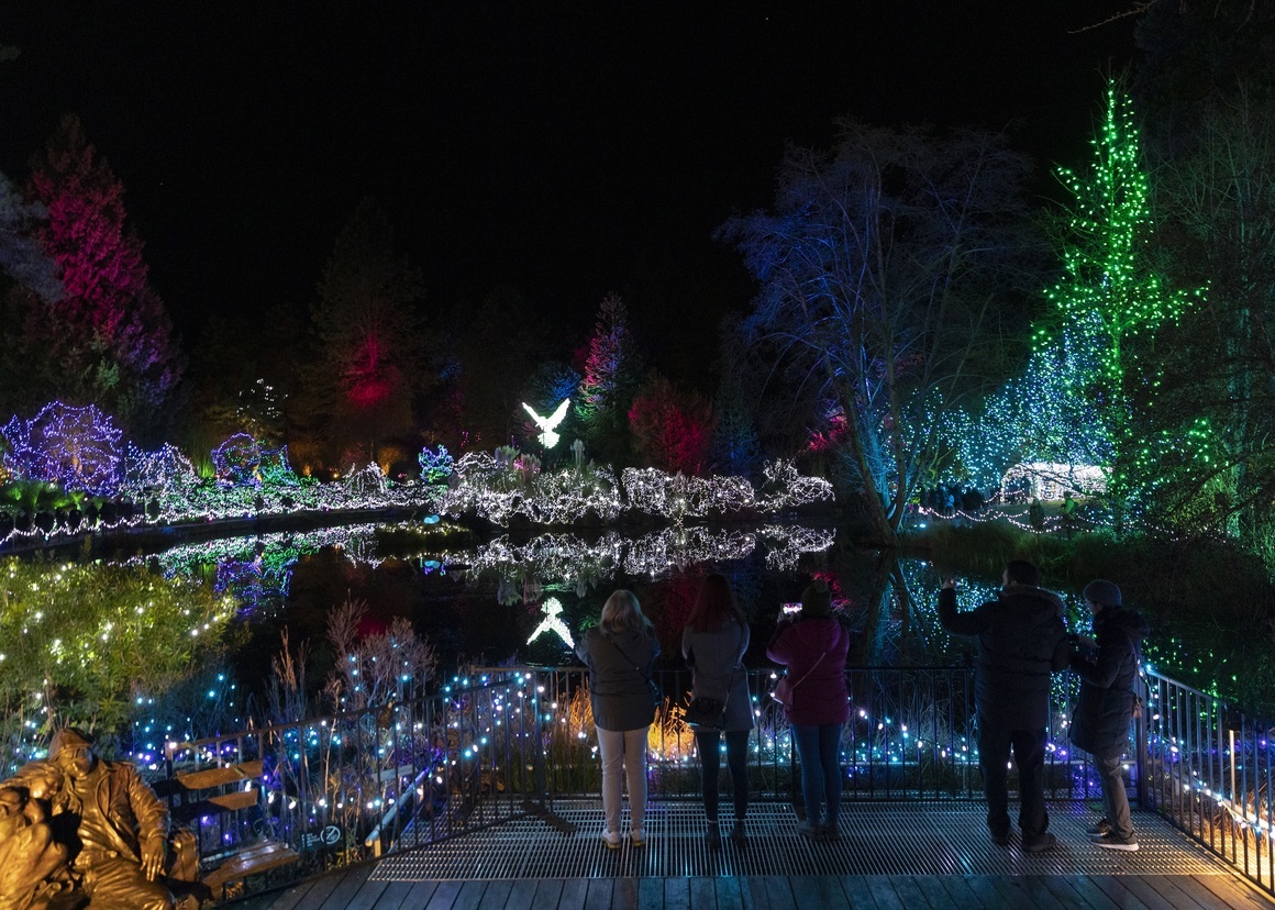 <p>Ботаническата градина във <strong>Ванкувър</strong>, Канада, стана част от коледната декорация благодарение на Фестивала на светлините. Целият парк е украсен с лампички в различни цветове, сред които хората могат да се разхождат по всяко време. </p>
