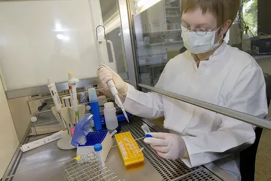 Не, у нас не са починали 4000 души за месец вследствие на свински грип