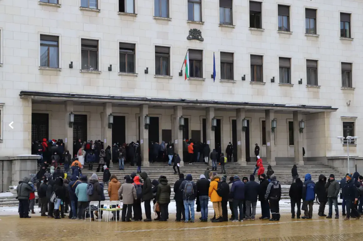 Българската народна банка пуска сребърна възпоменателна монета „Голям гмурец“ 