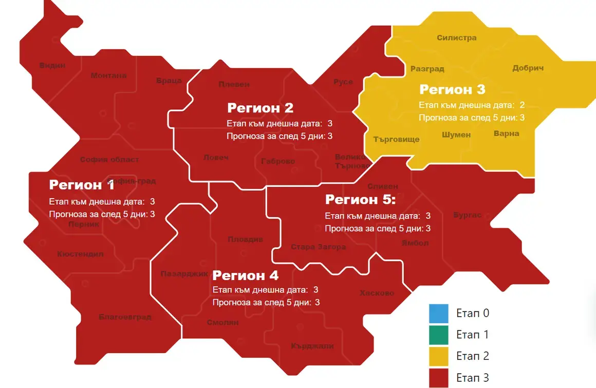 Covid-19: Отново над 10 хил. случая и 24% положителни тестове