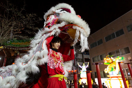 Азия посрещна Китайската Нова година