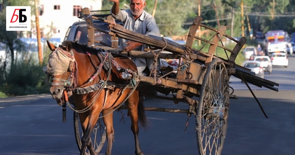 От първи юни ще бъде забранено движението на коне с