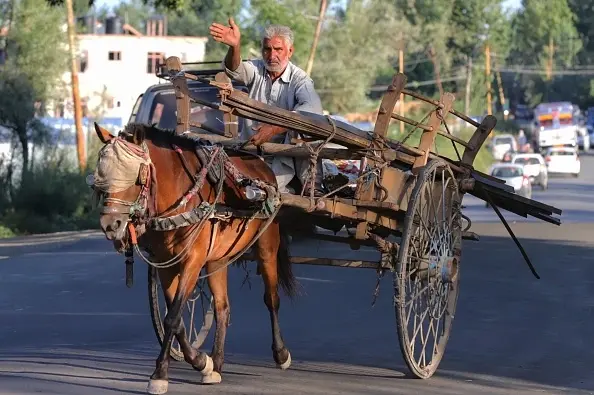 Забраняват движението с каруци в цяла София