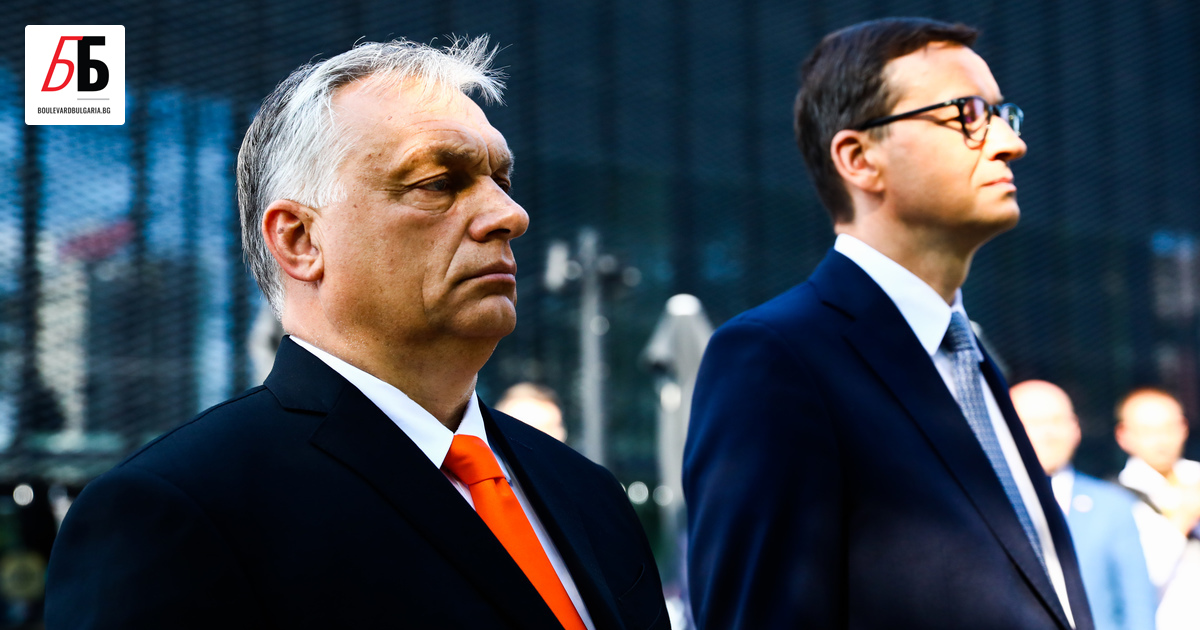 Колебанията на европейските лидери за изключването на Русия от разплащателната