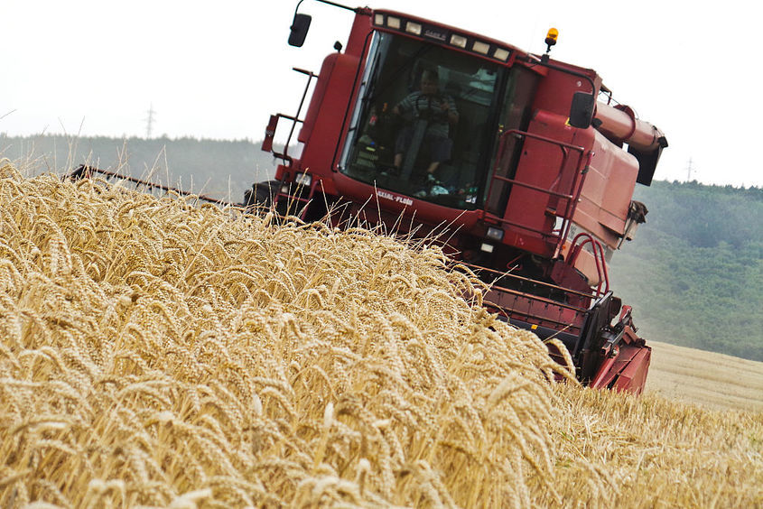 Земеделският министър обвини ГЕРБ в саботаж на купуването на зърно за резерва