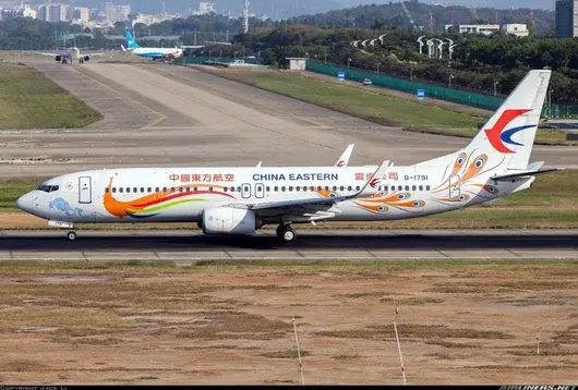 Без следа от оцелели. Как пътнически Boeing 737 със 132 души на борда се разби в Китай