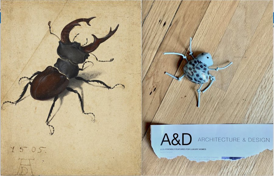 "Stag Beetle" на Албрехт Дюрер