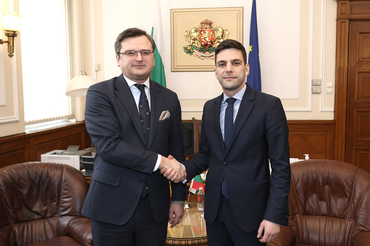 Украинският външен министър Дмитро Кулеба се обърна към българските депутати