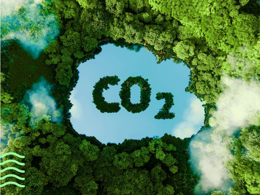 OLX публикува доклад който анализира потенциалното положително въздействие върху околната
