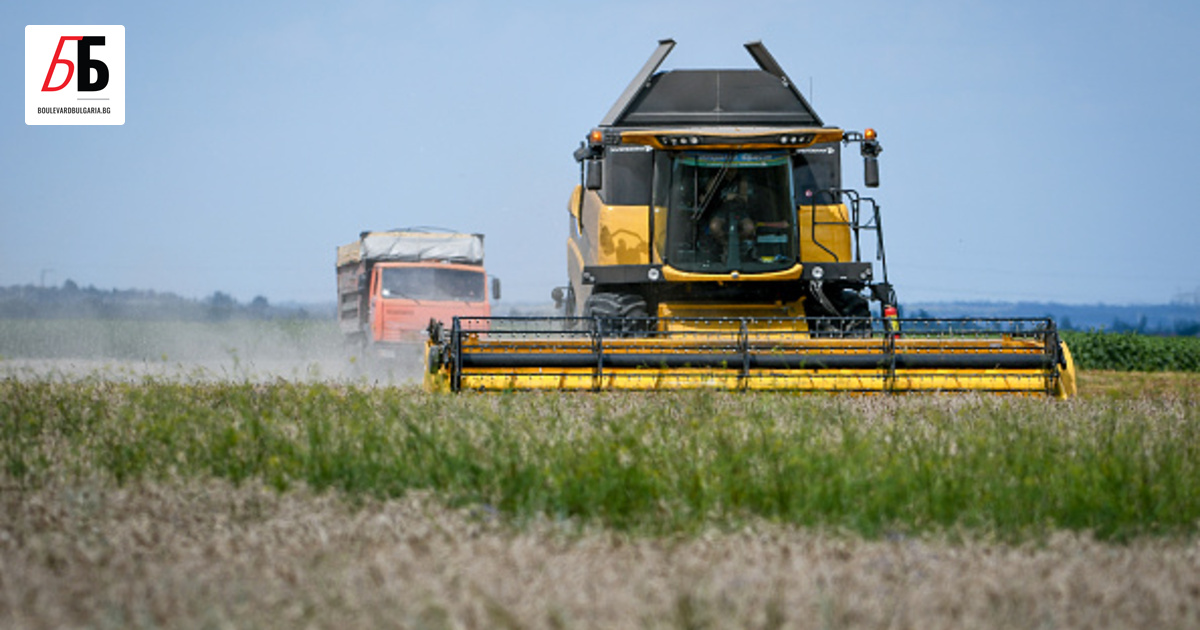Новините за кражби от страна на руската армия в Украйна